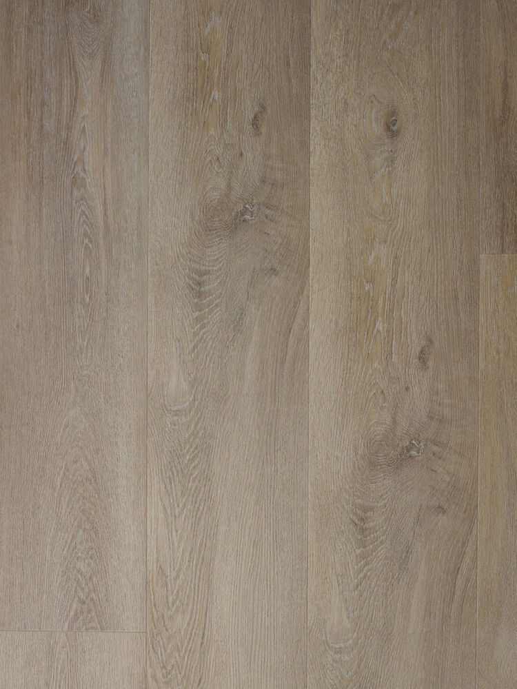 Rigid XXL Oak Geneva Klikkvinyl